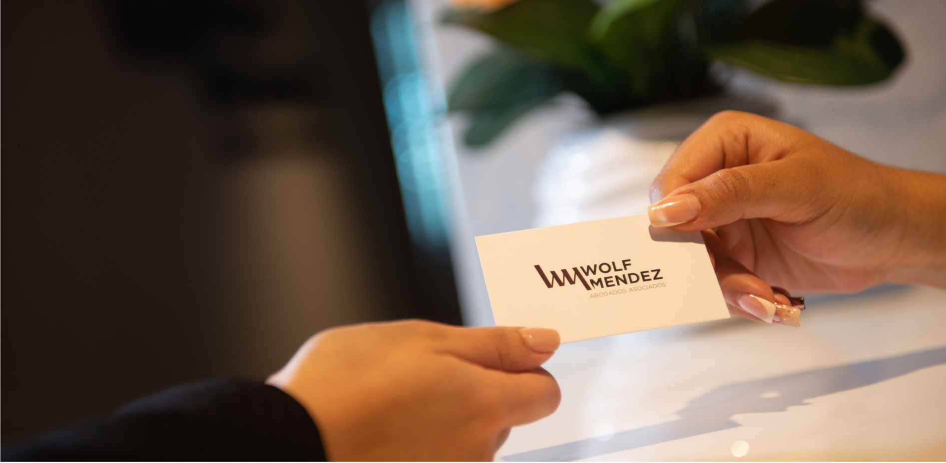 Diseño corporativo de la tarjeta de Wolf Méndez